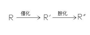 The addition reaction and amination