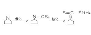 The addition reaction and amination